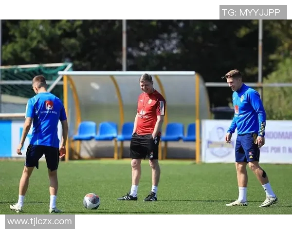 尤尔加登与卡尔玛的精彩对决揭示了瑞典足球的激烈竞争与战术较量 尤尔加登与卡尔玛的精彩对决揭示了瑞典足球的激烈竞争与战术较量