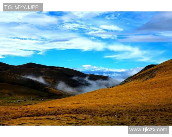 崔永熙的艺术之路与人生哲学探讨：从初心到成就的心灵旅程